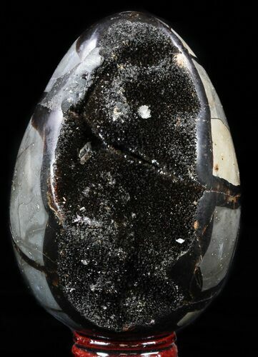 Septarian Dragon Egg Geode - Black Crystals #57336